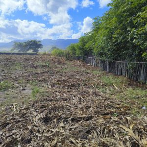 filter: 0; fileterIntensity: 0.0; filterMask: 0; captureOrientation: 90;algolist: 0;multi-frame: 1;brp_mask:0;brp_del_th:null;brp_del_sen:null;delta:null;module: photo;hw-remosaic: false;touch: (0.022129992, 0.38817698);sceneMode: 8;cct_value: 0;AI_Scene: (-1, -1);aec_lux: 0.0;aec_lux_index: 0;albedo:  ;confidence:  ;motionLevel: -1;weatherinfo: weather?null, icon:null, weatherInfo:100;temperature: 48;