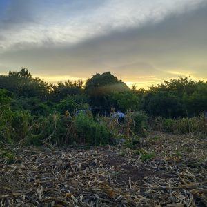 filter: 0; fileterIntensity: 0.0; filterMask: 0; captureOrientation: 90;algolist: 0;multi-frame: 1;brp_mask:0;brp_del_th:null;brp_del_sen:null;delta:null;module: photo;hw-remosaic: false;touch: (-1.0, -1.0);sceneMode: 2;cct_value: 0;AI_Scene: (-1, -1);aec_lux: 0.0;aec_lux_index: 0;albedo:  ;confidence:  ;motionLevel: -1;weatherinfo: weather?null, icon:null, weatherInfo:100;temperature: 39;