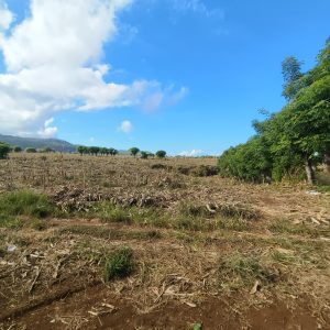 filter: 0; fileterIntensity: 0.0; filterMask: 0; captureOrientation: 90;algolist: 0;multi-frame: 1;brp_mask:0;brp_del_th:null;brp_del_sen:null;delta:null;module: photo;hw-remosaic: false;touch: (-1.0, -1.0);sceneMode: 8;cct_value: 0;AI_Scene: (-1, -1);aec_lux: 0.0;aec_lux_index: 0;albedo:  ;confidence:  ;motionLevel: -1;weatherinfo: weather?null, icon:null, weatherInfo:100;temperature: 46;