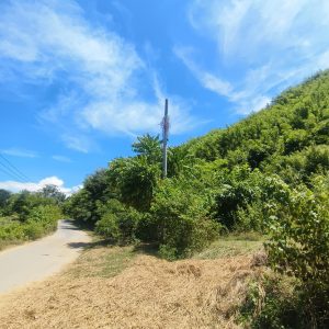 filter: 0; fileterIntensity: 0.0; filterMask: 0; captureOrientation: 90;algolist: 0;multi-frame: 1;brp_mask:0;brp_del_th:null;brp_del_sen:null;delta:null;module: photo;hw-remosaic: false;touch: (-1.0, -1.0);sceneMode: 8;cct_value: 0;AI_Scene: (-1, -1);aec_lux: 0.0;aec_lux_index: 0;albedo:  ;confidence:  ;motionLevel: -1;weatherinfo: weather?null, icon:null, weatherInfo:100;temperature: 46;