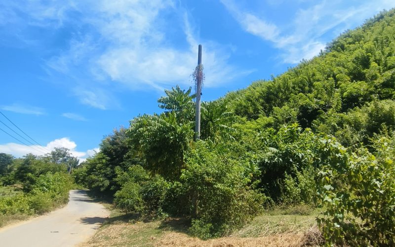 filter: 0; fileterIntensity: 0.0; filterMask: 0; captureOrientation: 90;algolist: 0;multi-frame: 1;brp_mask:0;brp_del_th:null;brp_del_sen:null;delta:null;module: photo;hw-remosaic: false;touch: (-1.0, -1.0);sceneMode: 8;cct_value: 0;AI_Scene: (-1, -1);aec_lux: 0.0;aec_lux_index: 0;albedo:  ;confidence:  ;motionLevel: -1;weatherinfo: weather?null, icon:null, weatherInfo:100;temperature: 46;